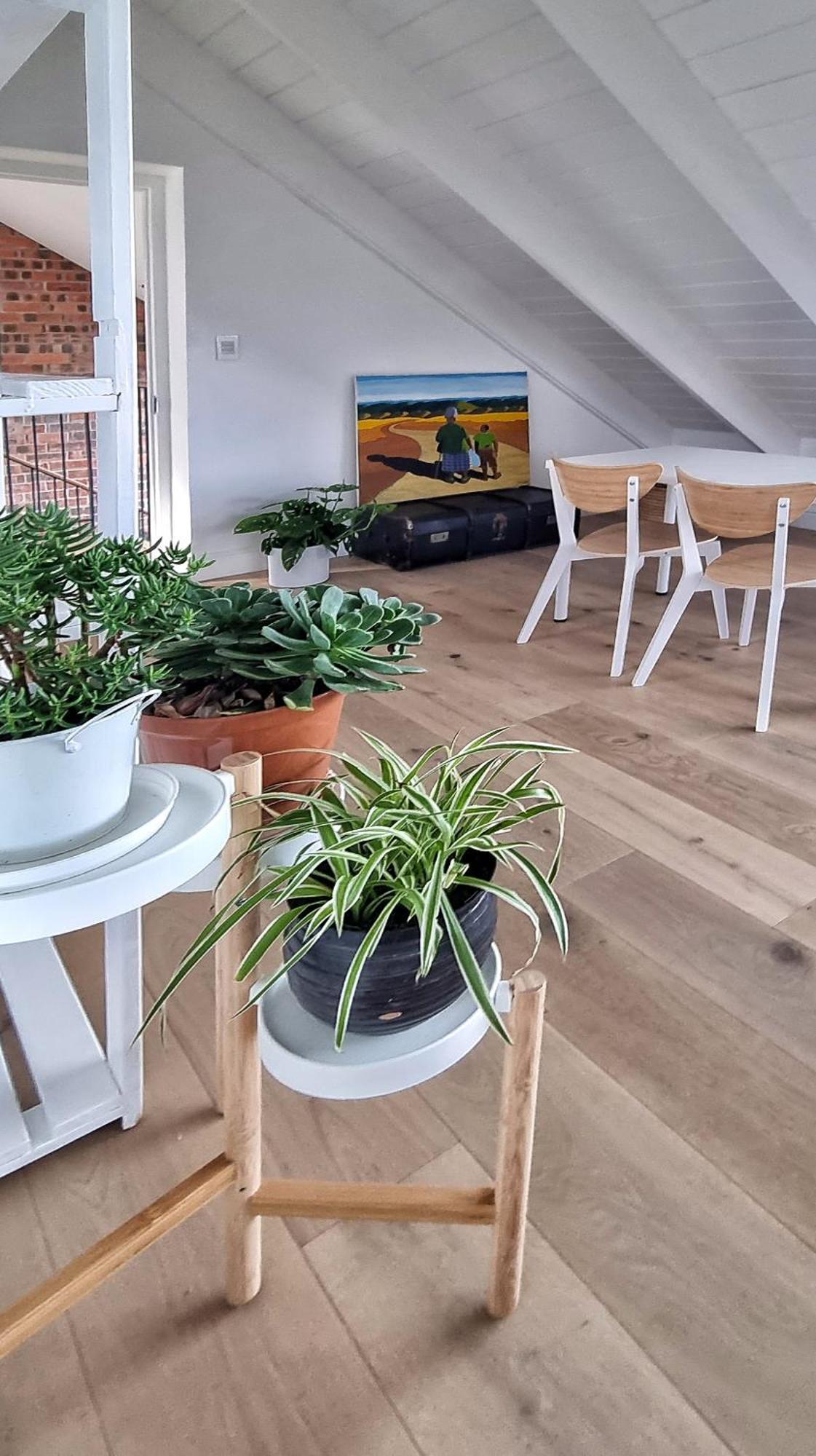 The Dragon Tree Guesthouse Калк Бей Екстериор снимка